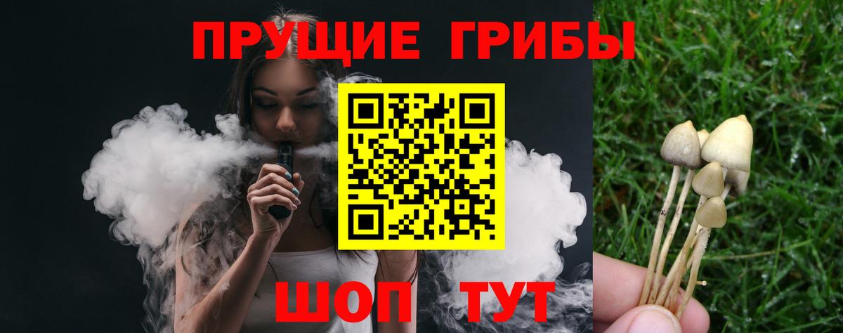 Псилоцибиновые грибы GOLDEN TEACHER Советск