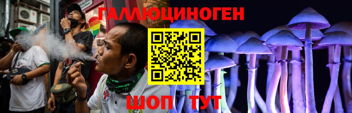 Галлюциногенные грибы Magic Shrooms  Вход с VPN  цена   Советск 